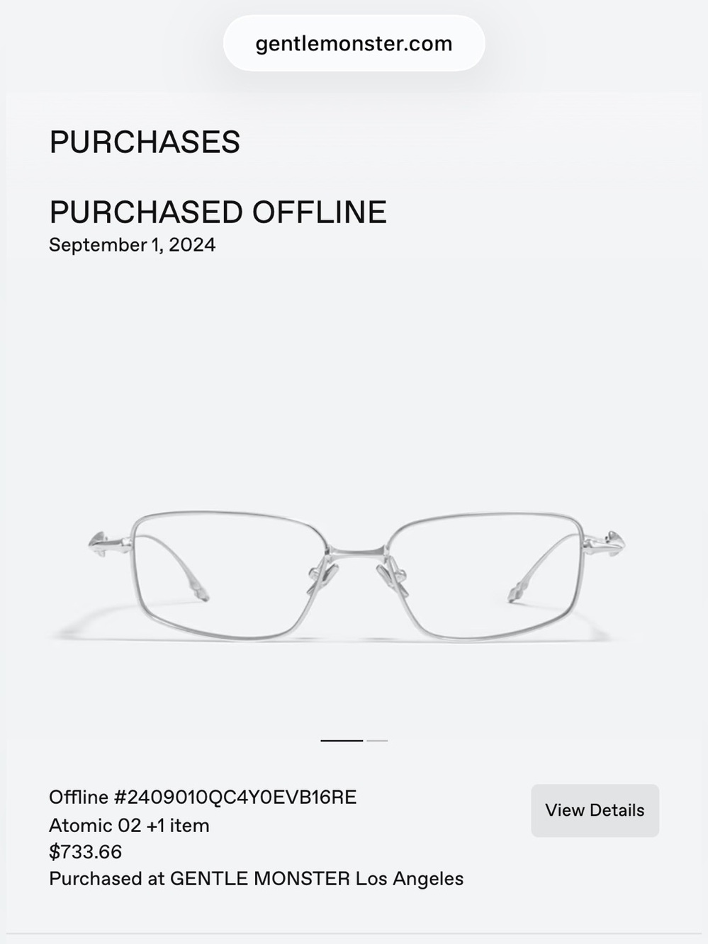 GENTLE MONSTER Atomic 02B rectangle-frame glasses - Picture 10 of 10